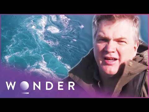 Ray Mears Faces The World's Most Dangerous Tropical Tides | Australian Wilderness S1 EP5 documentary thumbnail