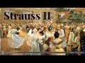 Capture de la vidéo Strauss Ii - Waltzes