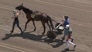 Vidéo de la course PMU PRIX FORDEL STON