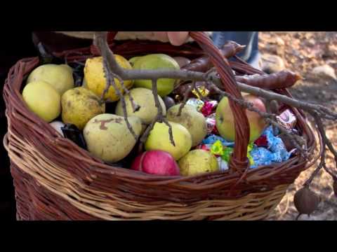 \"მოკვდი მტერო\" • სოფ.ართანა(თელავი)