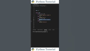 Adding Conditions/Guards to Match-Case Statements | Python Tutorial