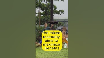 What is meant by the mixed economy IGCSE Business BizSpark Notes #shorts  #facts  #businessschool