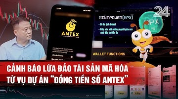 Cảnh báo lừa đảo tài sản mã hóa từ vụ dự án ‘đồng tiền số Antex’ | VTV24