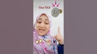 gear ada banyak jenis??