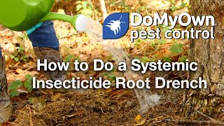 How to Do a Systemic Insecticide Root Drench