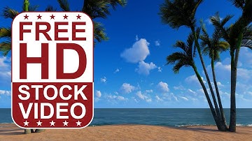 Free Stock Videos – palm trees on the beachside with seawater blue sky and clouds passing by 3D