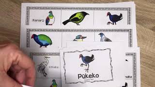 NZ Native Birds Bingo