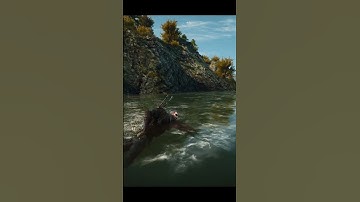 Drowner, the mountain swimmer! #Witcher #Witcher3 #BFG #gaming #bug #glitch