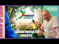 Visite du parc animalier immersif parrot world a crecy la chapelle a 30 minutes de paris