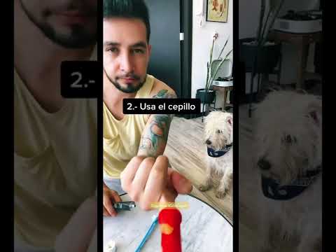 Video: La mejor higiene dental para perros. Hackea a tu cachorro.
