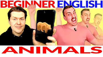 Easy Beginner English Listening Course Lesson: Animals (Part 2)🐔😺🐻🦋🐶🐍🦜🦁 English Comprehensible Input