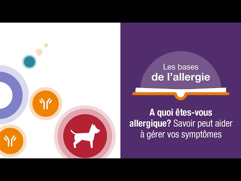 Vidéo: Donner ceci à votre teckel quotidien pourrait aider à soulager les allergies cutanées douloureuses