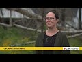 CBC Nova Scotia News Aug. 21, 2025 | Wildfire insurance