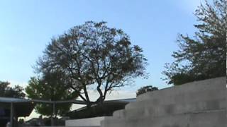 M2U00515