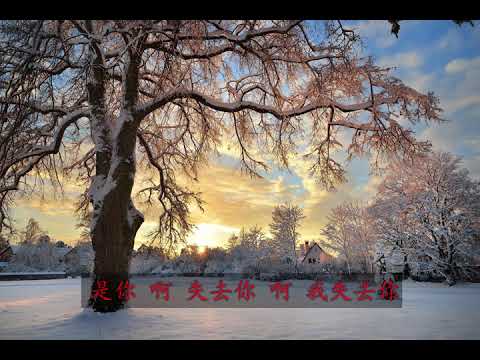 默-那英-高清无损原声