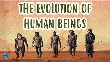 THE EVOLUTION OF HUMAN BEINGS | Human Evolution | Educational Videos for Kids
