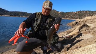 Catching CatFish Pine Flat Lake!