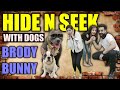 Once Again Hide n Seek with Dogs Brody Bunny | Family Funny Vlogs | Harpreet SDC