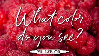 How to Choose Copic Markers for Coloring Projects: Ep. 2 Red Raspberries