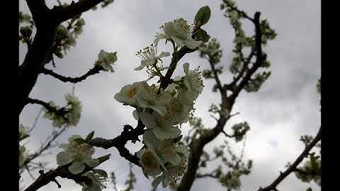 KneToNaToR - The Right Way