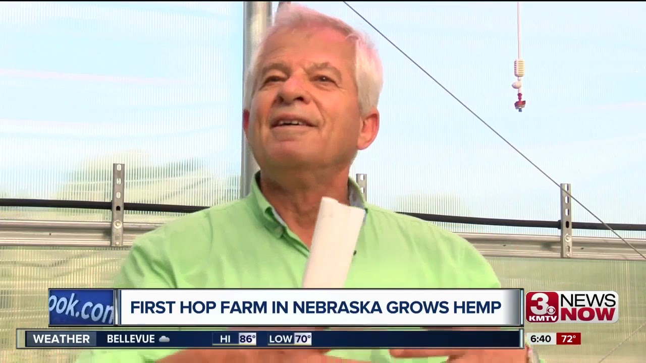 Inside Nebraska's first industrial hemp farm
