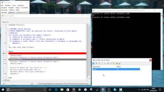 Pascal: come funziona il debug.