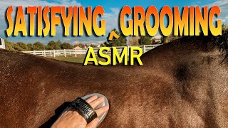 Summertime Daily Grooming ASMR Tuesday  Satisfying And Relaxing!