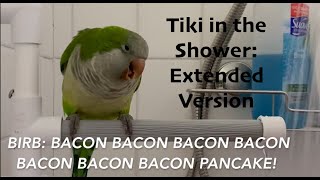 CUTE QUAKER PARROT BATH TIME | all da bacon pancakes | Tiki the Quaker of @flockparty on TikTok