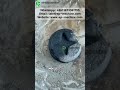 Turn Waste Into Profit 💰🔥| Biomass Charcoal Machine Explained #shorts #machine #charcoal #business