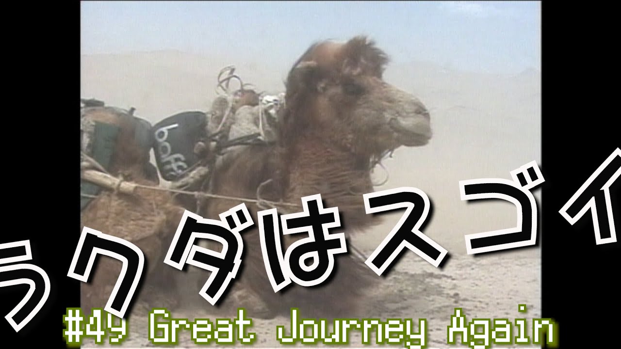 #49「ゴビ砂漠横断 ラクダの力、性格、出産」「great journey again」ゲスト：小松由佳