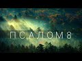 ПСАЛОМ 8/ Господи, Боже наш! Как величественно имя Твое по всей земле!