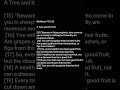 Matthew 7:15-20