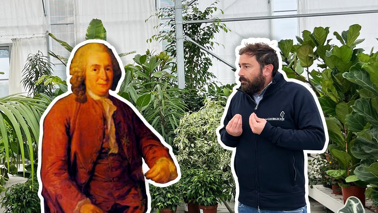 Come si scrivono i nomi scientifici delle piante? 🤔