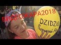 Презентация новой комедии DZIDZIO на фестивале🔥ВИДЕОЖАРА2018🔥