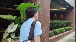 Studio Memory Vlog