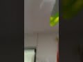 30 de mayo de 2020