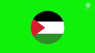 Chroma, The Flag Of Palestine