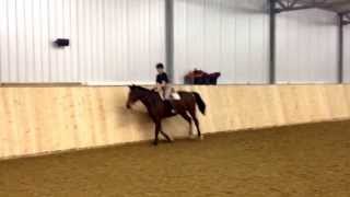 Good Intentions Video Clip. Flat work with a gymnastic exercise.