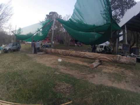 Wytal Healing Pole First 2 days