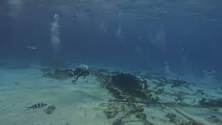 The Diving Secret They Buried for 53 Years?