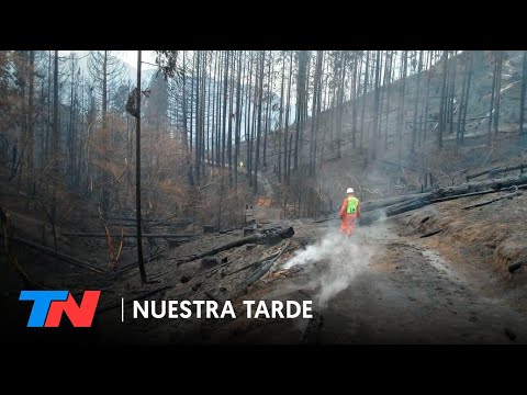 Siguen los incendios en Río Negro, Neuquén y Chubut: bomberos trabajan para apagar los nuevos focos