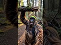 Pablo Bigfoot Launches the High Energy Bigfoot Fitness Challenge and Cries About His Delts | EP5
