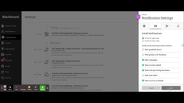 Turning on Notifications in Blackboard Ultra - UOP