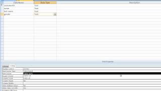 Simple database in access (Time Lapse)