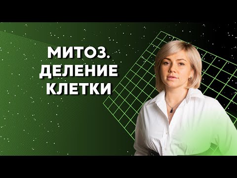 Митоз. Деление клетки