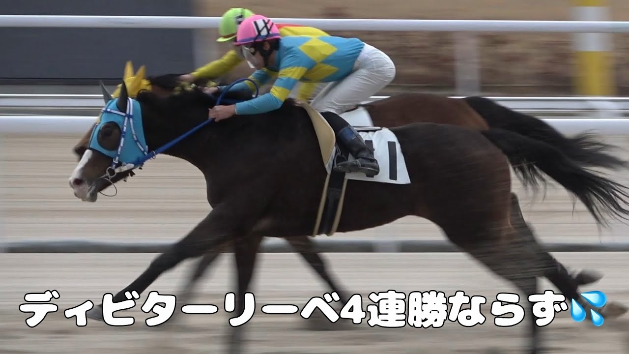 【現地撮影】2026年2月16日名古屋競馬場1Rディヒタリーベ＆望月洵輝騎手デビュー4連勝ならず5着！