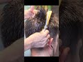 【バイノーラル/ASMR】耳が喜ぶ鋏と櫛の音 #barber #barbershop #haircut #asmr