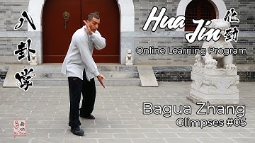 Hua Jin Online Learning Program - Bagua Zhang Glimpses #05