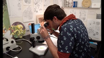 500 Queer Scientists: Celebrating Diversity in STEM | California Academy of Sciences