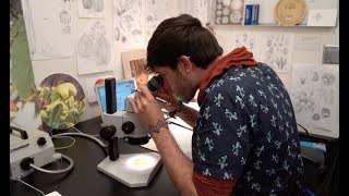 500 Queer Scientists: Celebrating Diversity in STEM | California Academy of Sciences